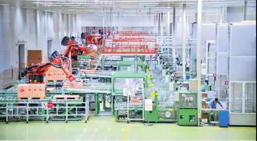 全心聚力學黨史 篤行奮進譜新篇