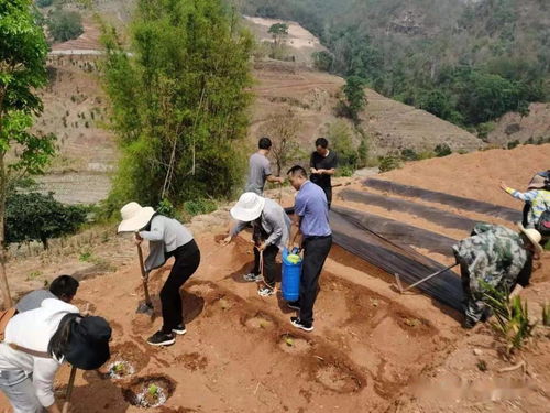 深化黨史學習教育助力鄉村振興發展